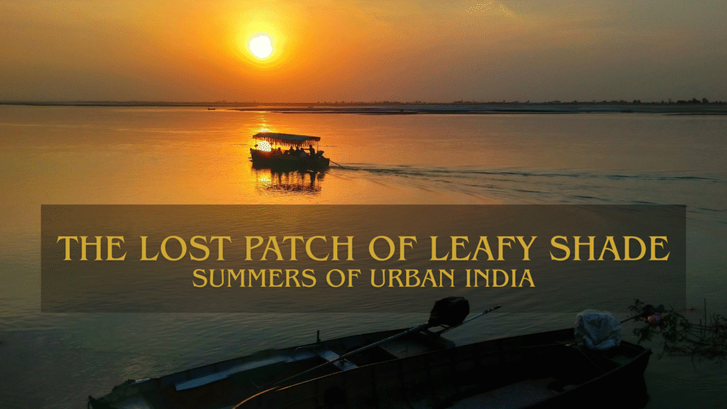 The Lost Patch of Leafy Shade